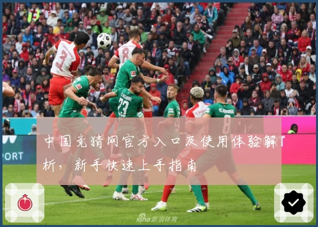 中国竞猜网官方入口及使用体验解析，新手快速上手指南