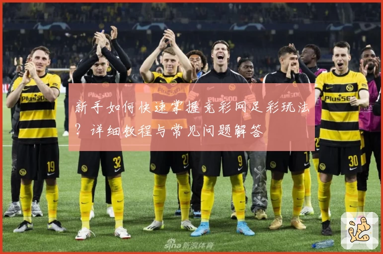 新手如何快速掌握竞彩网足彩玩法？详细教程与常见问题解答